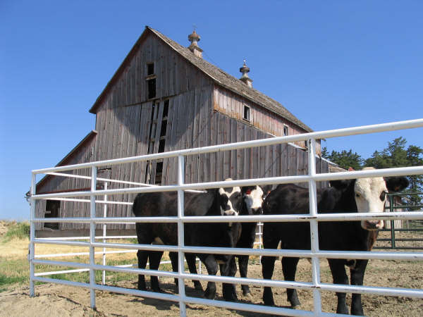 Barn